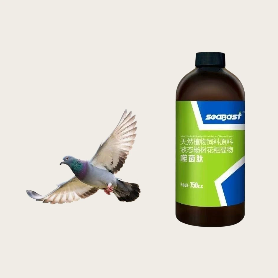 

Пробиотик Pigeon 750 мл для поддержки пищеварения, здоровья кишечника и улучшения качества стула, товары для ухода за гоночными голубями