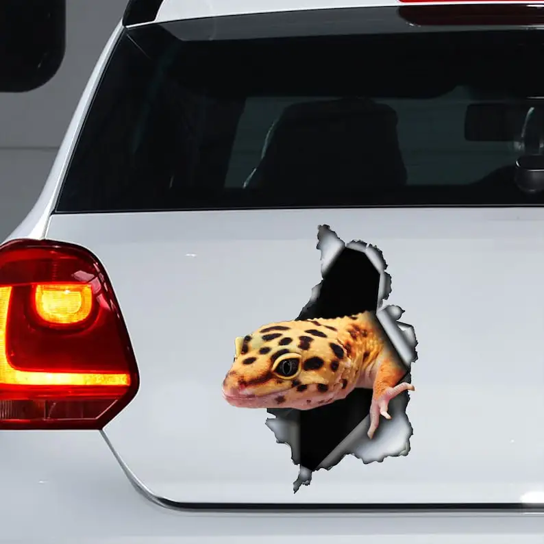 Leopard Gecko decal , Leopard gecko magnet, Leopard gecko sticker, car decal