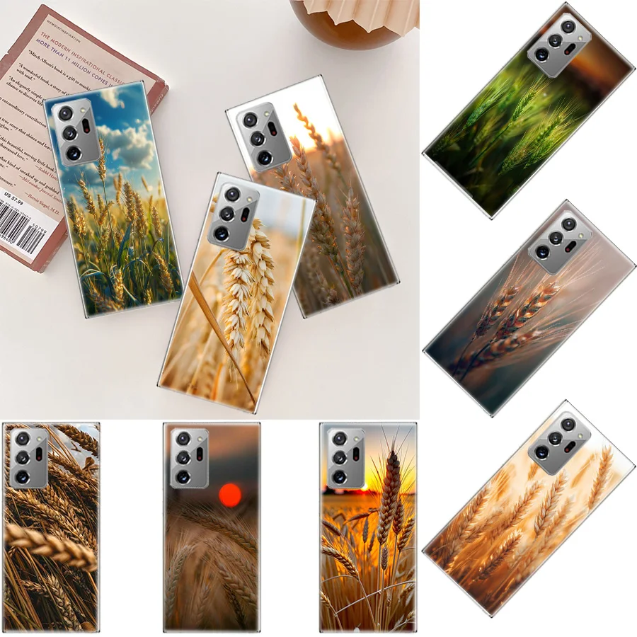 Mature Wheat Grains Phone Case For Galaxy Samsung A03 A03S A13 A23 A33 A53 A73 A54 A34 A24 A14 5G A04 A04S A9 A8 A7 A6 Plus A10