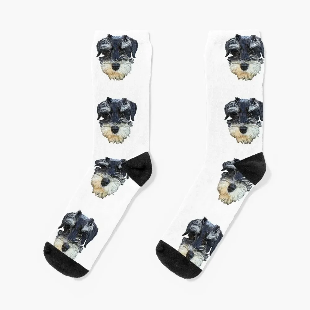 

Miniature Schnauzer Cute mini puppy dog Socks tennis sport Men's Socks Women's