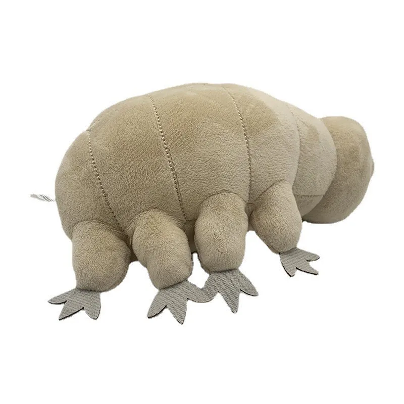 25cm bonito tardigrade brinquedo de pelúcia macio brinquedo de pelúcia adorável urso de água inseto boneca crianças brinquedo educativo quente meninos presente aniversário