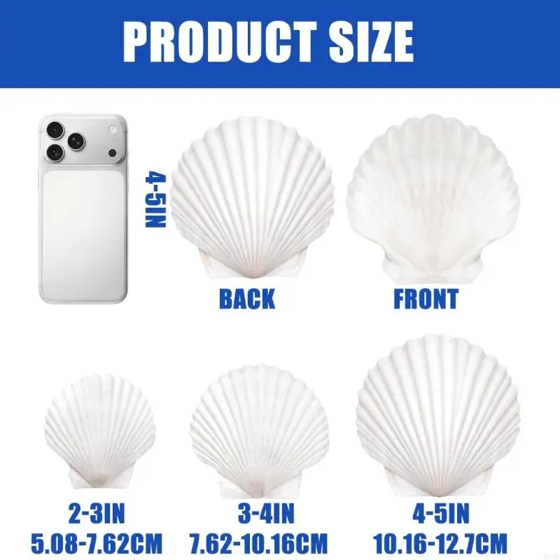 20 Stück natürliche weiße Muscheln, bemalbare natürliche Muscheln zum Handmalen und Kuchenbacken, Dekoration, Schule, B03E – Detail 6