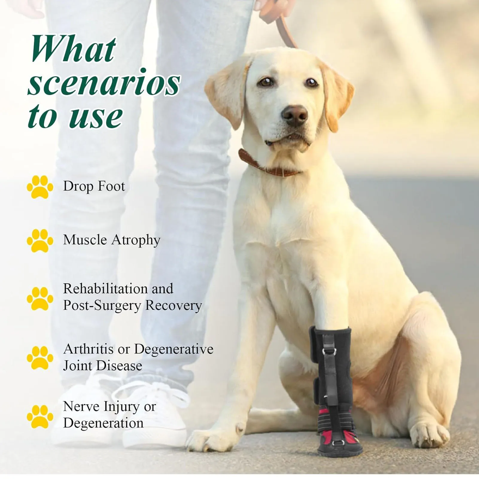 Dog Foot Brace Breathable Integrated Abrasion Proof Non Slip Sole Bottom Dog Boot Foot Protector for Outdoor Dog Protective Shoe