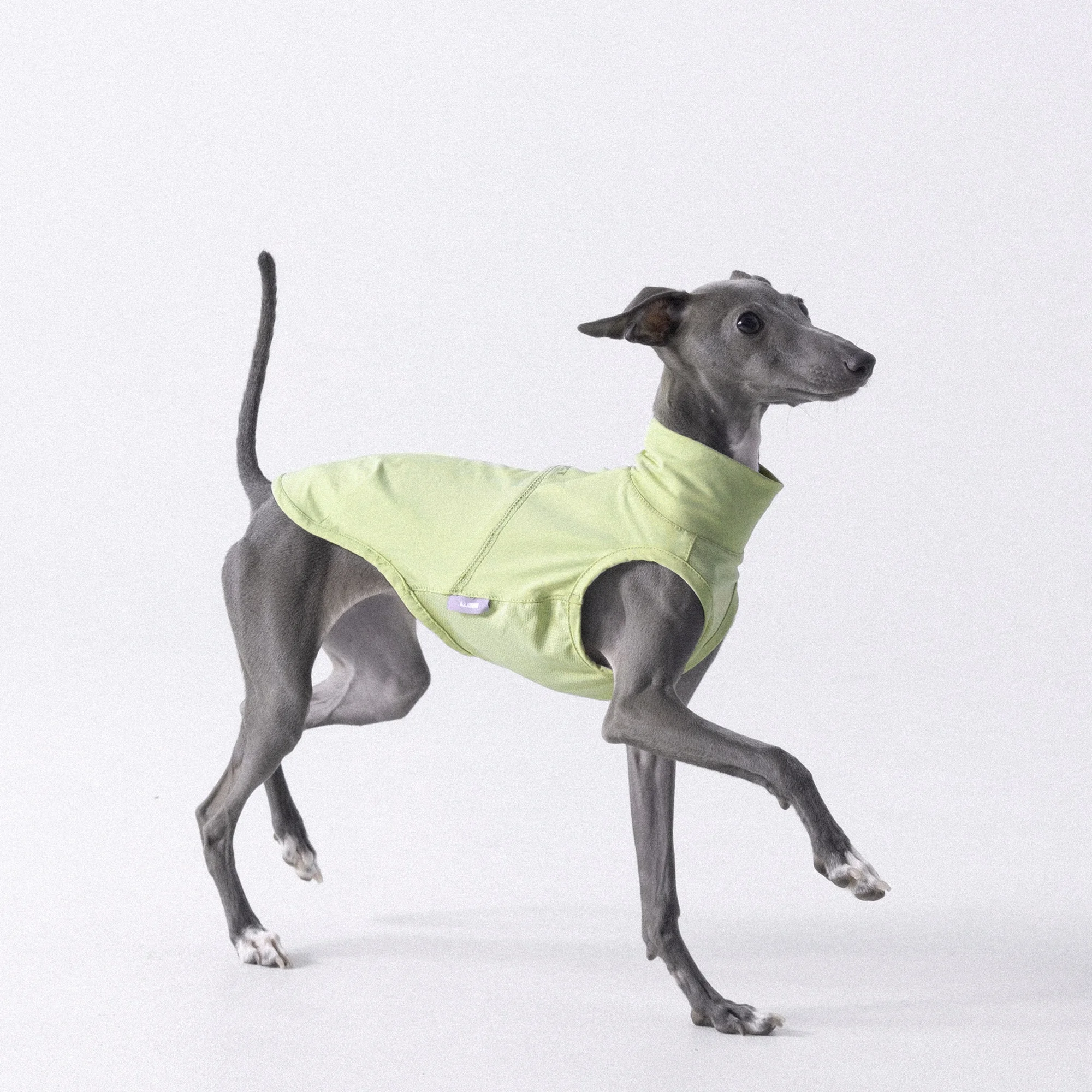 gilet-sans-manches-leger-et-antibacterien-upf-200-bleu-et-jaune-pour-l'ete-protection-solaire-rafraichissante-pour-les-bouledogues-italiens-et-les-schnauzers