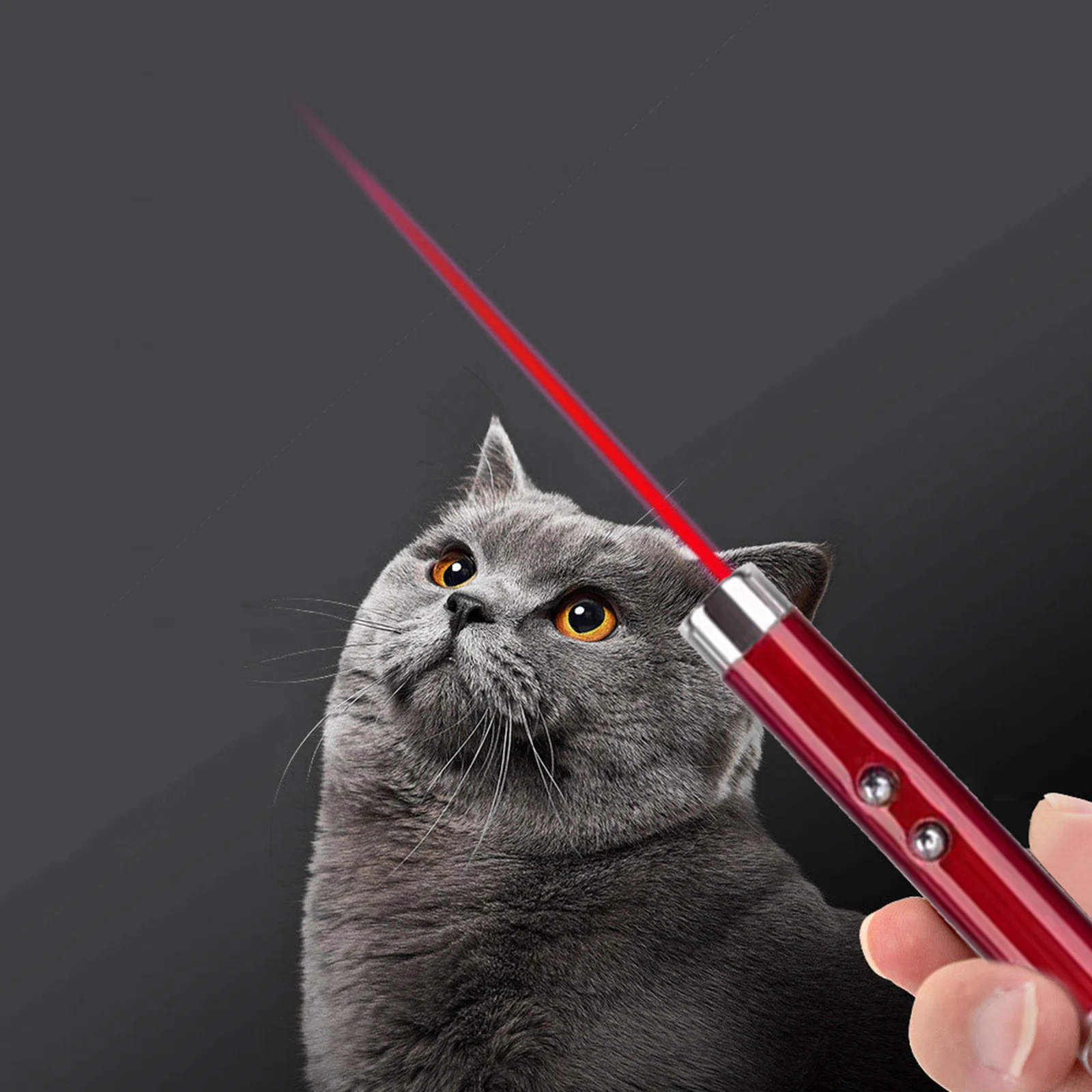 2 in 1 LED Laser Pet Cat Toy Outdoor Cat Guidance Training Toy Funny Cat Chaser Toys Mini Laser Flashlight Cat Accessories