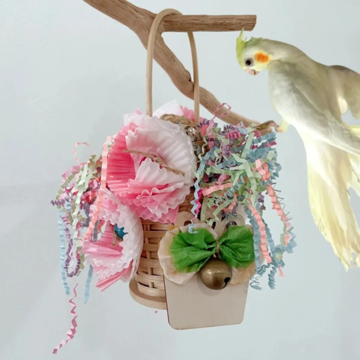 : Zabawki dla ptaków