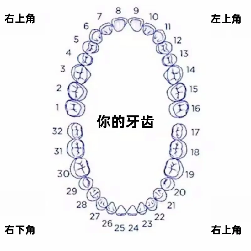 دعامات الهيب هوب الأوروبية والأمريكية للشوايات على شكل قرص العسل مرصعة بالمويسانيتي #2