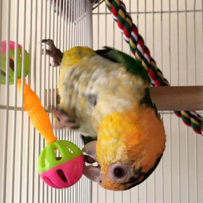 103C 2 عبوة ببغاء ألعاب ألعاب ملونة مزدوجة مع جرس ل COCKATIEL CONURE الصغيرة