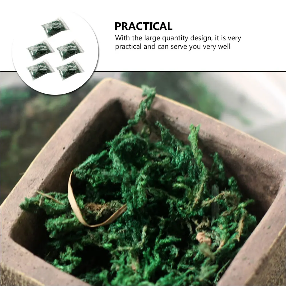 

5pcs Imitation Moss Decorative Filler For Fairy Garden Bonsai Diy Micro Landscape Wall Home Decoration Flowerpot Supplies Fake