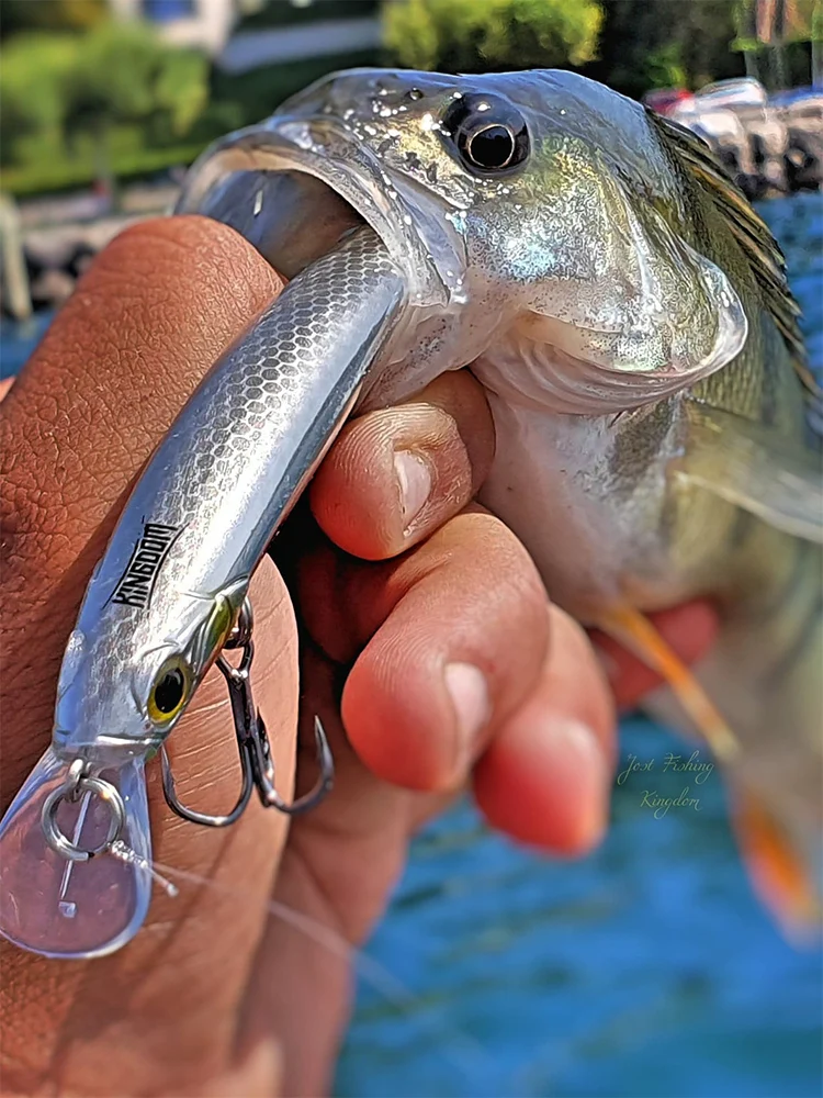 Royaume coulant méné leurres de pêche en eau salée appâts durs manivelle bonne Action Wobblers leurre de truite artificielle pour bar de mer