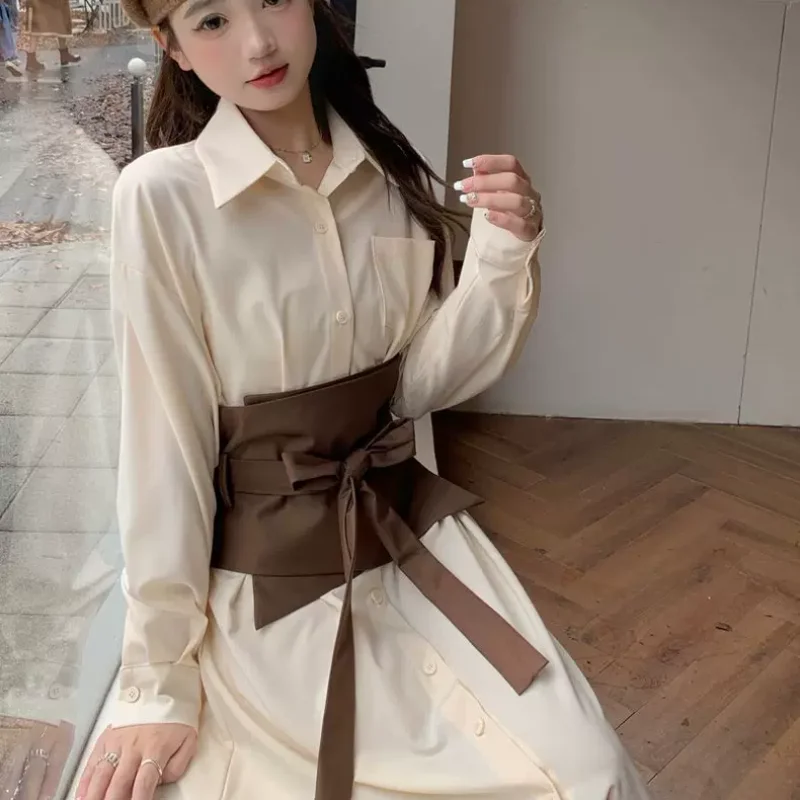 Long Sleeve Dress Women Lace-up Flattering Waist Elegant Gentle New Temper All-match Trendy Button-up Tender Spring Streetwear image 4