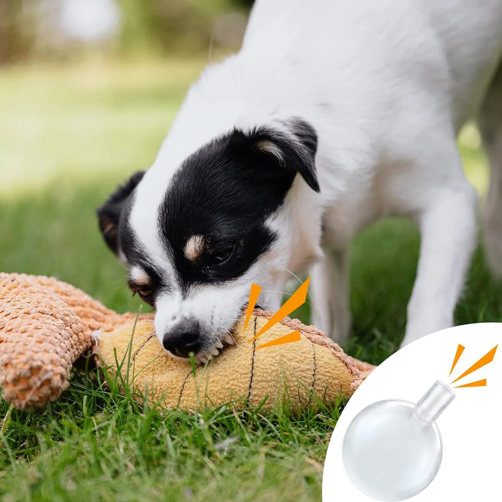 

2 Years 50 Pack Of Squeaky Sounds Toys Fun Bubble With Air Filled For Hand Play Ideal Toy Accessory For Kids