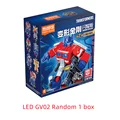 led GV02 Random 1box