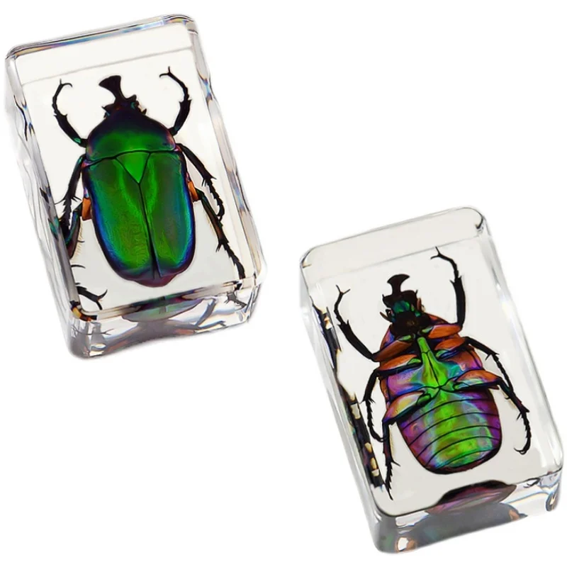 62 STYLE Real insect specimen transparent resin creative small ornament scorpion spider beetle kindergarten teaching toy