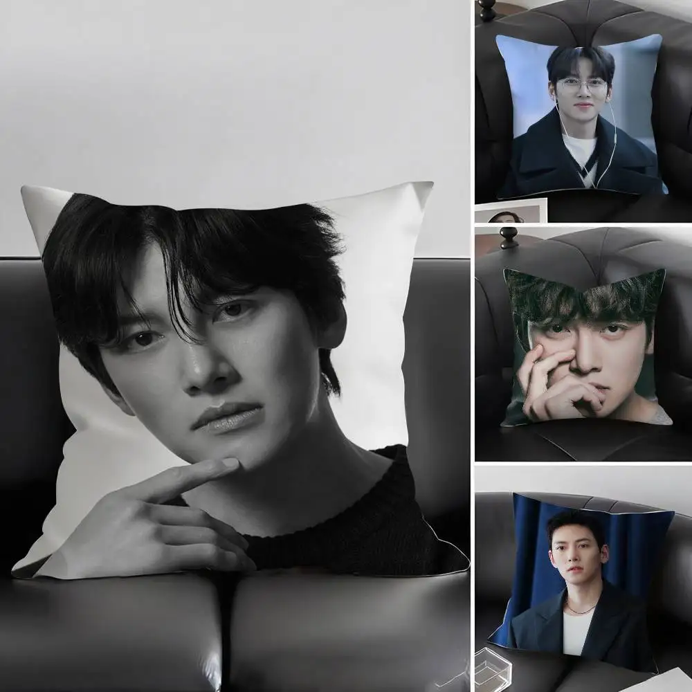 J-Ji C-Chang Wook Pillow Case Home Dorm Chair Back Short Plush Double-sided Printing Office Nap Time Cushion Cover