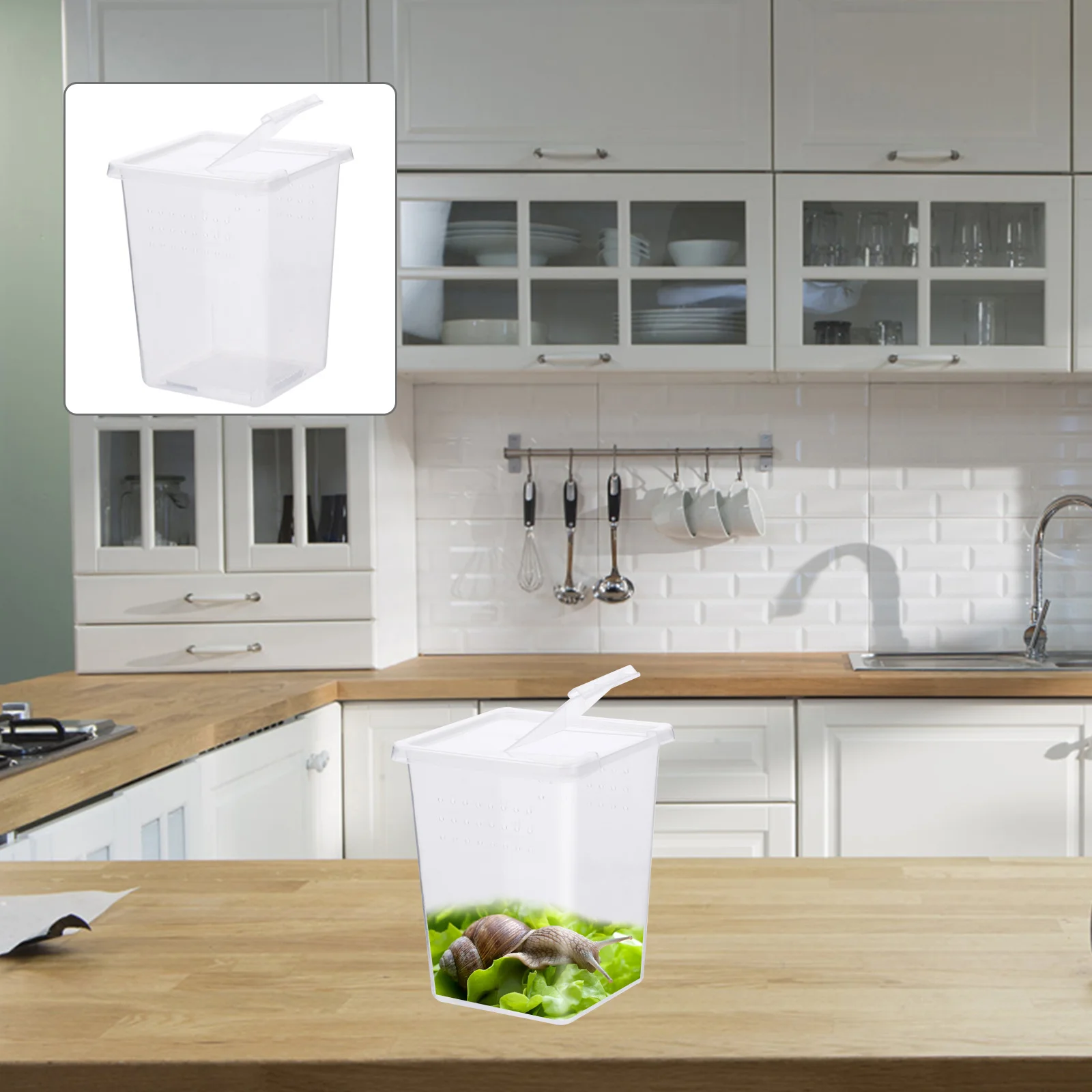 

2Pcs Reptile Breeding Box High Transparency PP Material Double Side Opening Mini Reptile Tank Feeding Box for Turtle Lizard