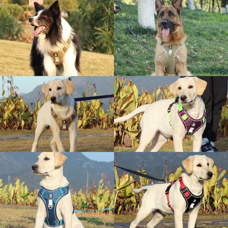 Thumbnail 2 - #35 New Dog Car Safety Harnesses Arrivals