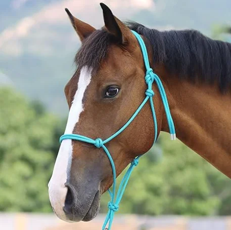 مقود حصان من النايلون المنقوش مع حلقة أنف مبطنة ومقود ناعم #1