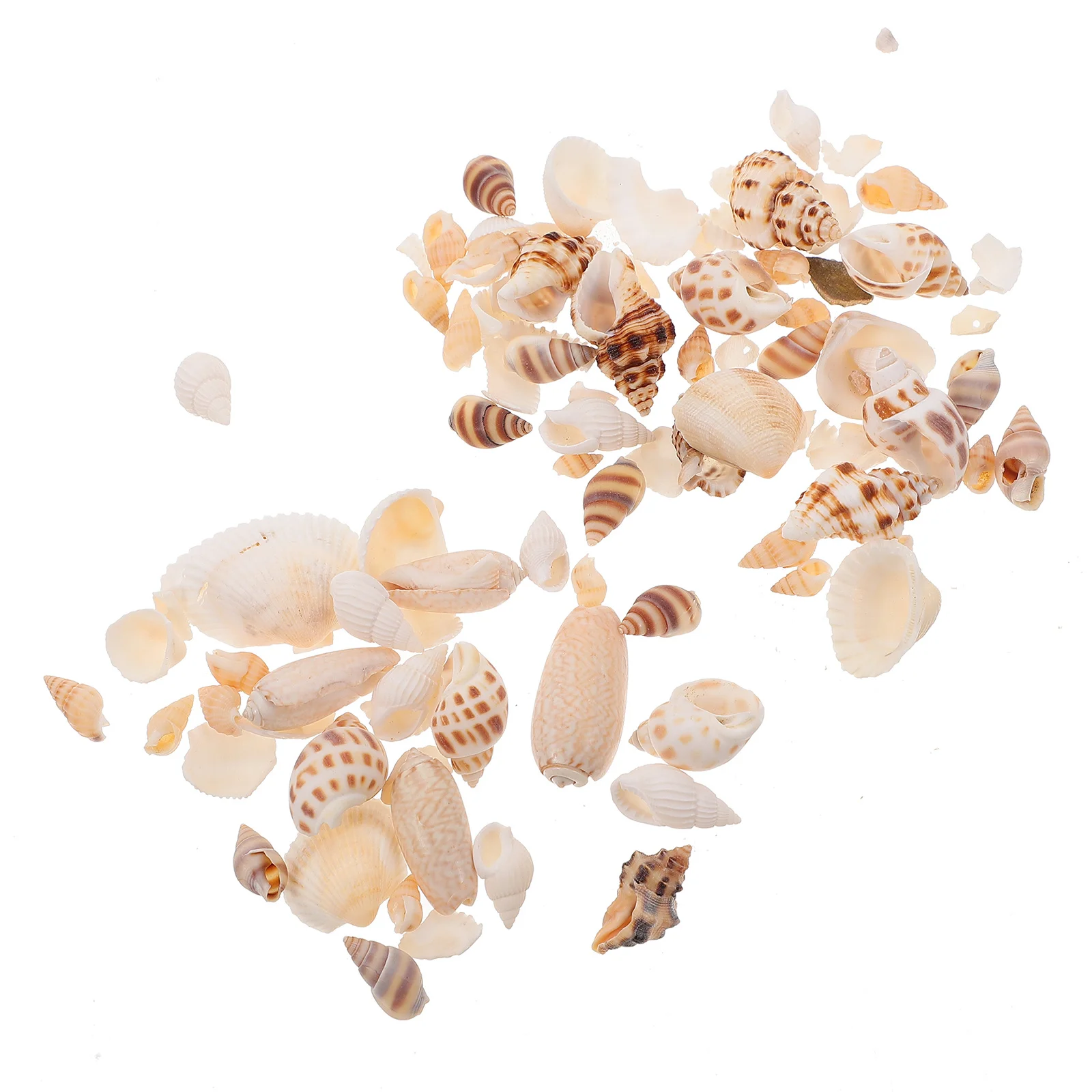 

2 Boxes Sea Snail Shell Fish Tank Ornament Aquarium Decoration Natural Color Landscaping for Home Office Garden DIY Craft