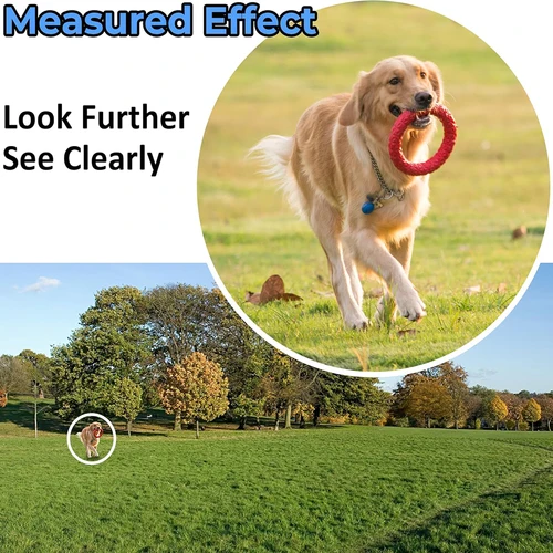 Imagen 2 del producto Telescopio Monocular HD de 8x25, Mini binoculares compactos de bolsillo para exteriores, impermeables para observación de aves, caza, Camping, senderismo, viajes