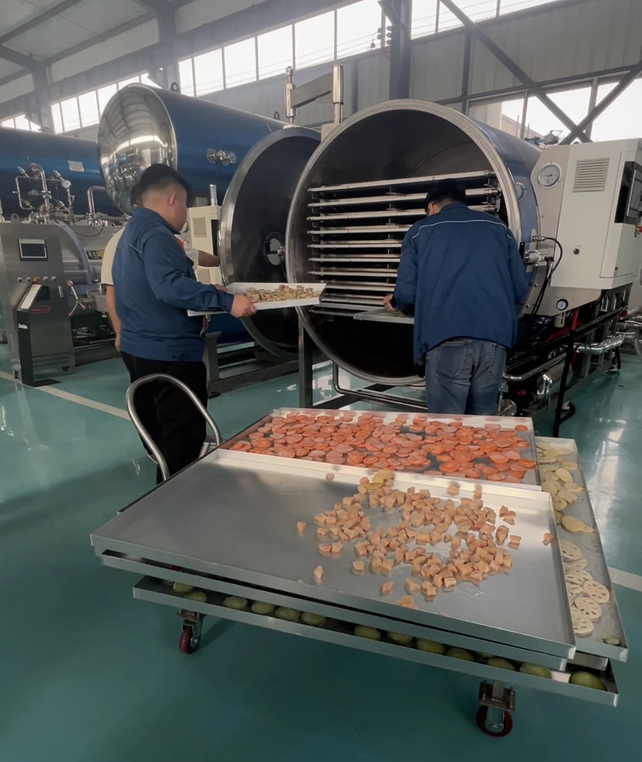 CE Industrial Lyophilizer Freeze Dryer for Mangoes Peas Carrots Scallions Cilantro Ready-to-eat Soups Staple Foods Porridge - view 6