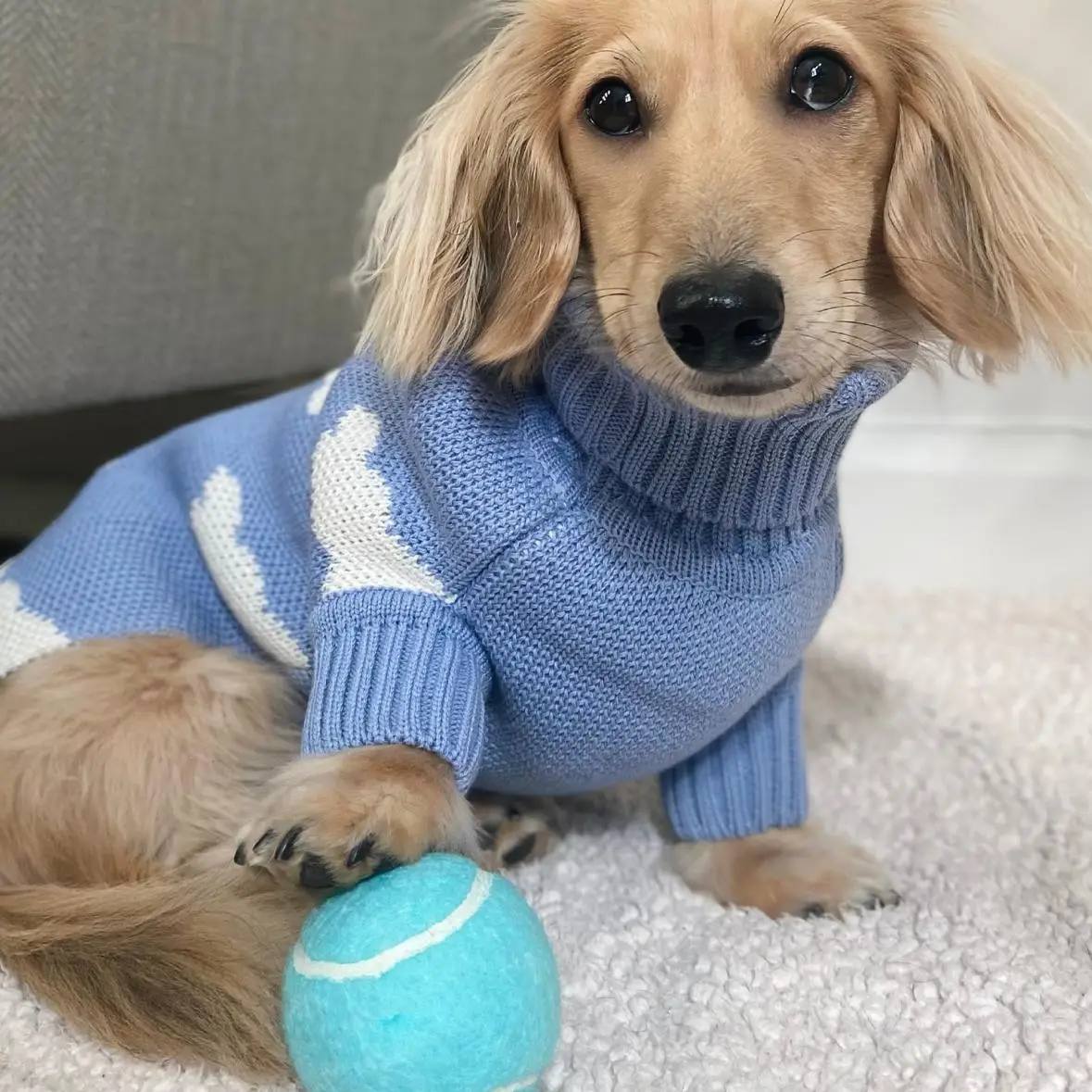Kleidung für Wiener Hund, Plüsch-Wollmantel, warmer Pullover für Dachs, Hundekleidung, Winter-Outwear für Dackel, kleine Hunde, Haustierprodukte – Detail 4