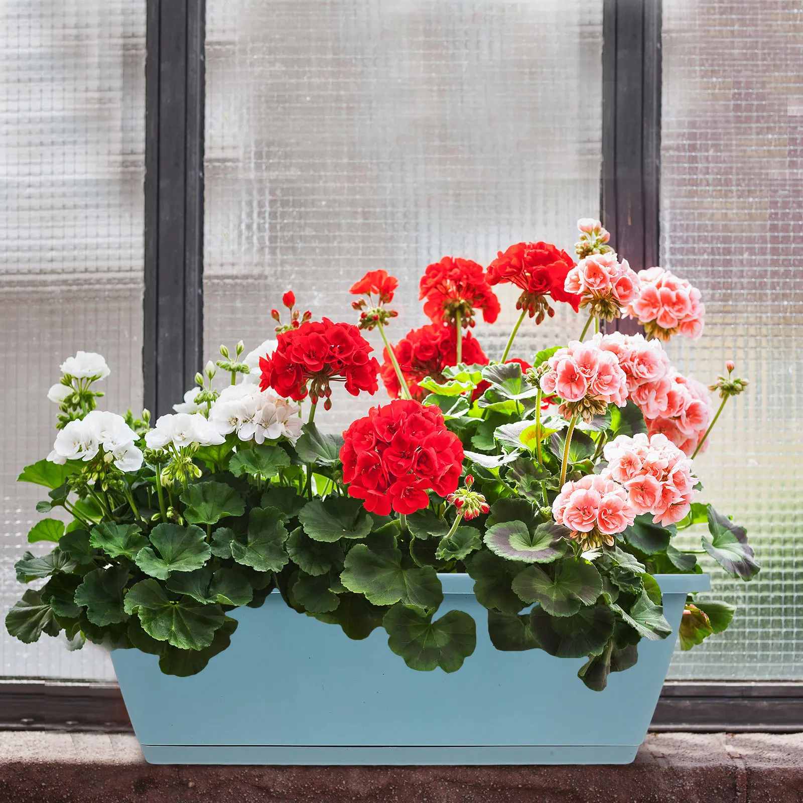 

2 set Rectangular Vegetable Growing Pot With Tray Resin Flower Planter For Indoor Outdoor Garden Succulent Plant Container