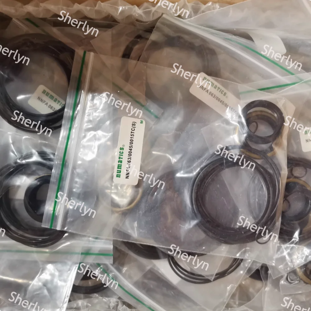 ASCO Cylinder NNFA063 Universal Maintenance Kit Sealing Gasket