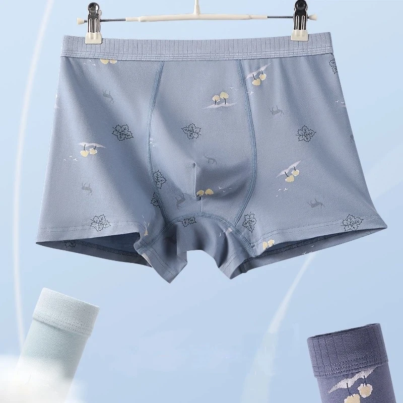 3PCS Plus Size Fashion Men's Boxer Briefs Man Cotton Breathable Boxer Shorts Print Unerderwear Male Underpants Square Panties