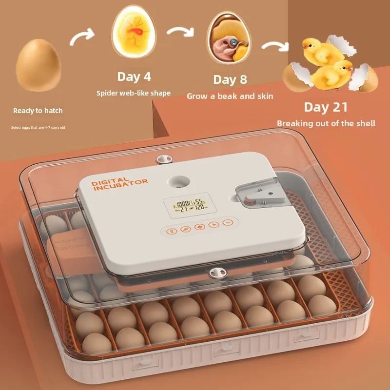 

56 автоматический инкубатор для яиц, регулируемый таймер обратного отсчета яиц, цифровая инкубационная машина, инкубационное оборудование для разведения птицы