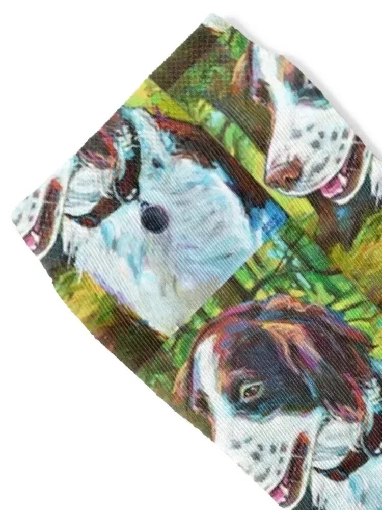 BRITTANY SPANIEL HUNTING DOG Socks valentine gift ideas Sports crazy funny sock Ladies Socks Men's