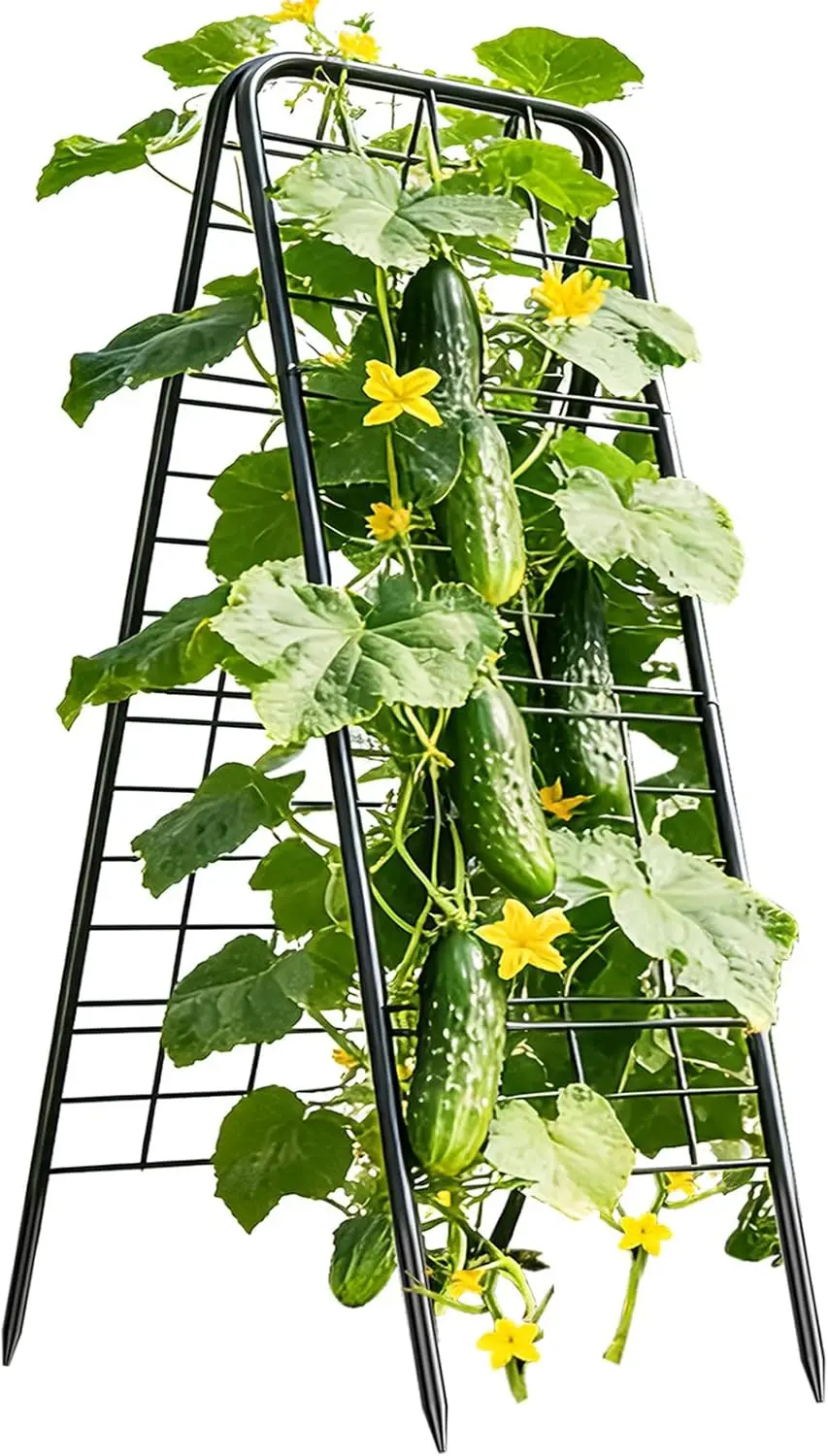 

100% Metal Cucumber Trellis for Raised Bed,50"x17" A-Shape Garden Plant Support for Climbing Plants, Heavy Duty Metal Ga