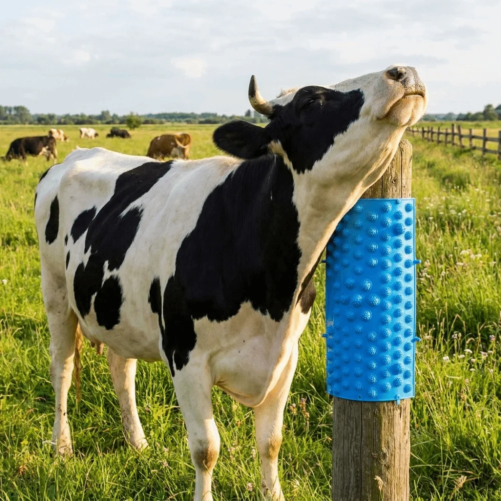 3PCS Wear Resistant Animal Scratcher Weather Resistant Strong Cow Scratcher Multi-functional Horse Massage Brush