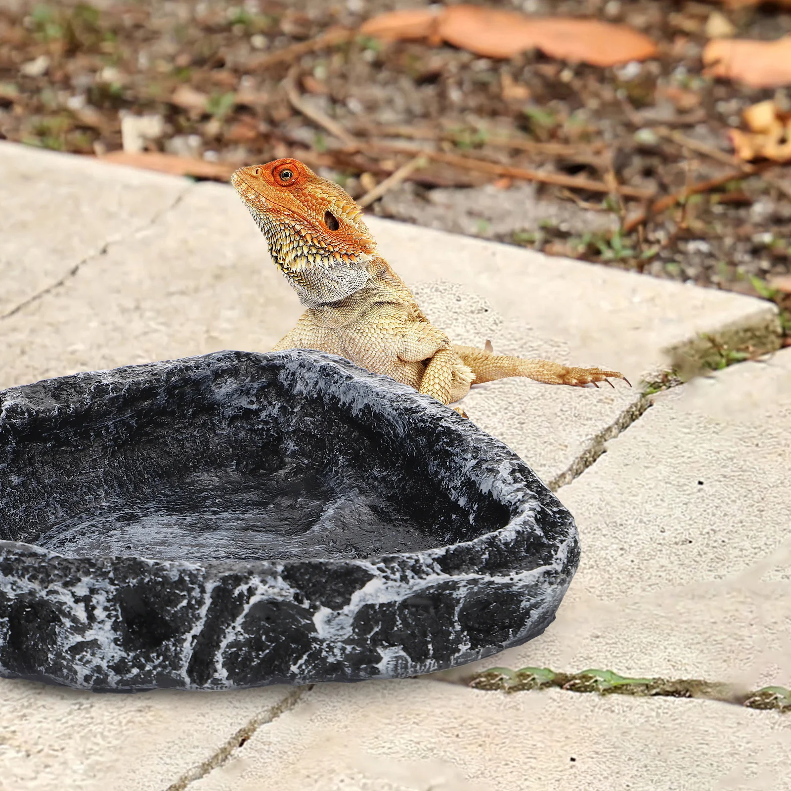 Reptilien Wasserbecken Schildkröte Lebensmittelbehälter Krabbeln Haustier Trinkschale Terrarium Schlangenglas Lebensraum Zubehör