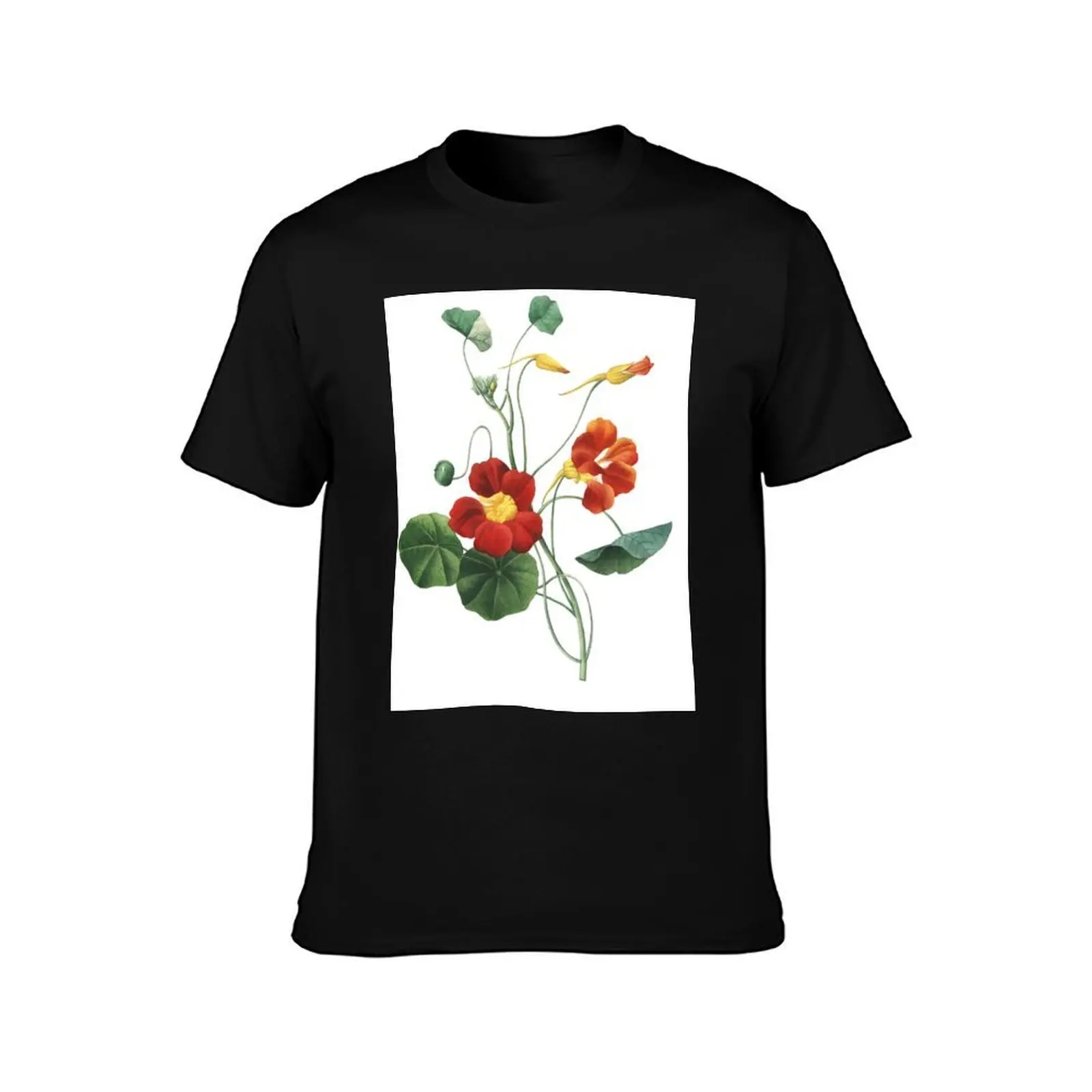 Vintage Flower. Nasturtium Botanical Print. Superb Print Quality T-Shirt, Summer Casual Cotton Tee, Oversized Streetwear Tops