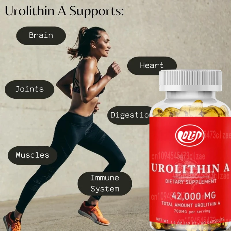 

Efficient Urea A Capsules -700 Mg, 60 Capsules - Premium Health Support Supplement * -42000 Mg Total Urea A