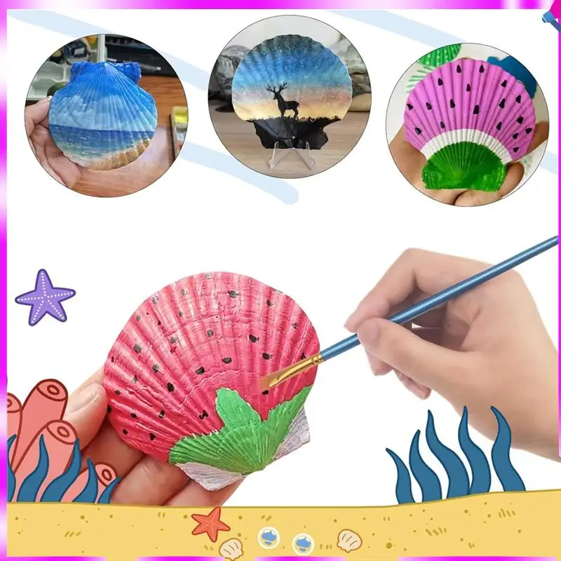 

N96R, 16 шт., ракушки с гребешком, большие ракушки с гребешком от 4 до 5 дюймов, с кистями и полосками для акриловой краски