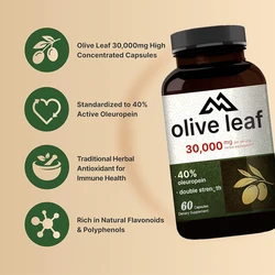 Olive leaf extract 40% active olivine, 50:1 herbal polyphenol and flavonoid antioxidants, immune and heart health