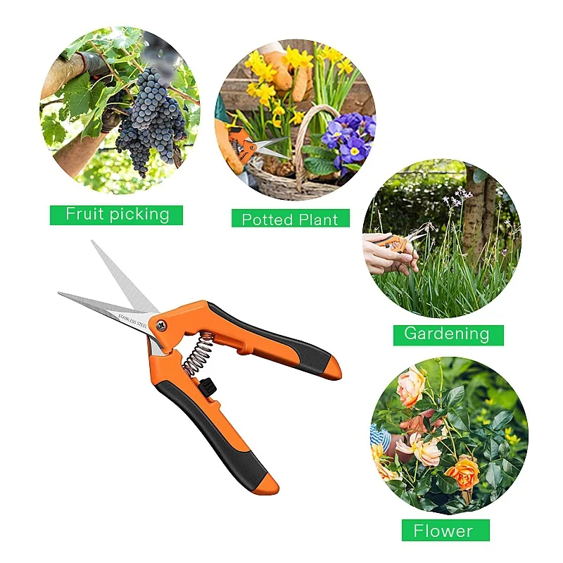 Tijeras de jardinería para podar ramas de frutas y verduras, tijeras para árboles frutales, recolección de uvas, herramientas de jardín, bonsái