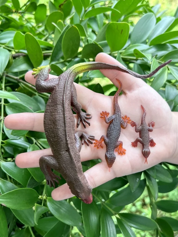 Soft Rubber Reatic …