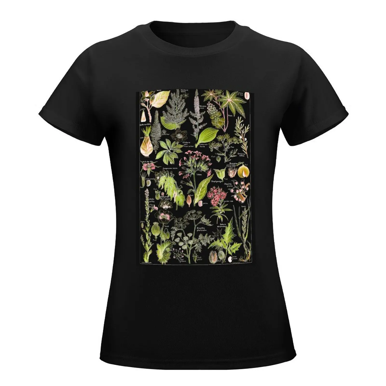 Adolphe Millot - Plantes dangereuses A (dangerous plants A) T-Shirt funny t-shirt dress for Women graphic