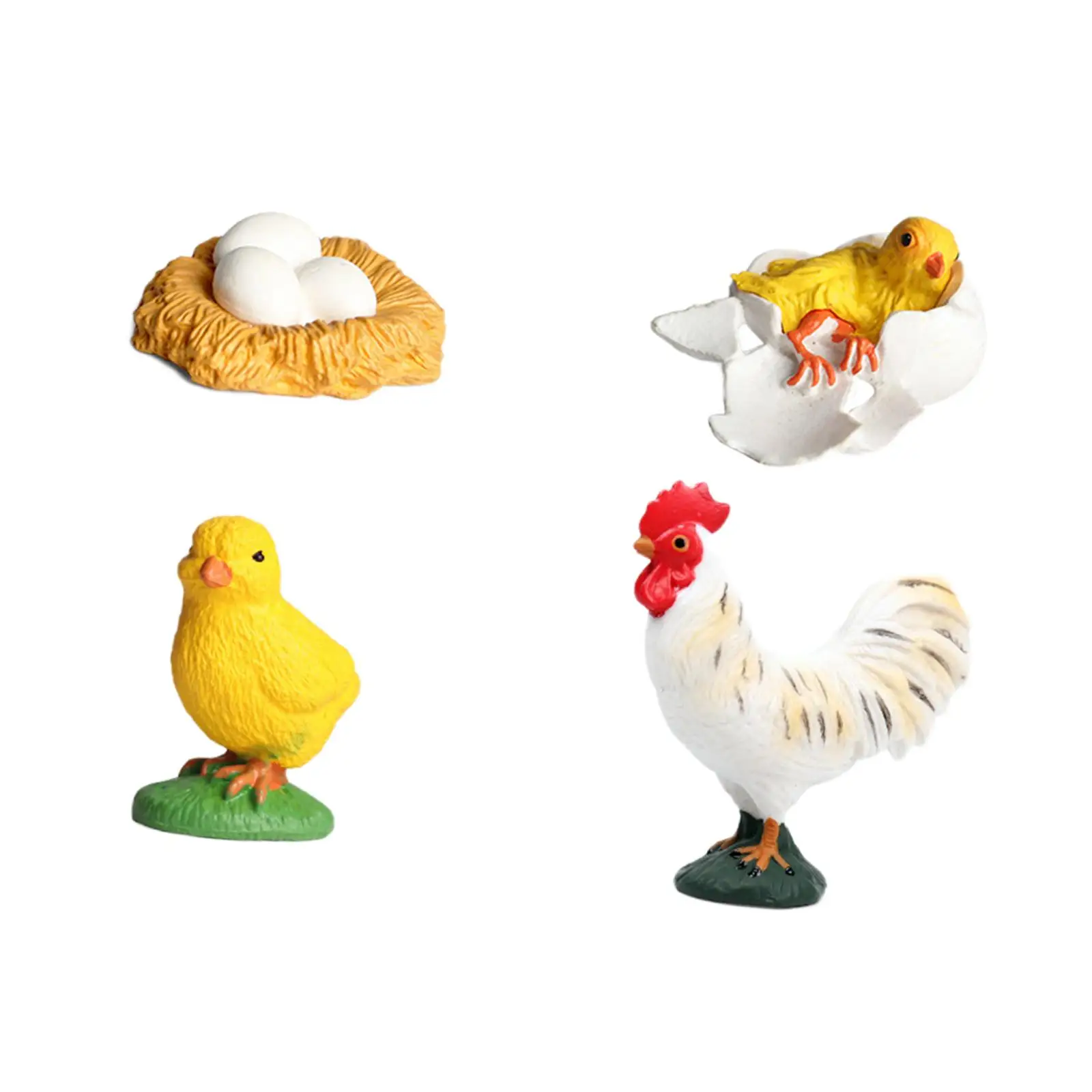 Rooster Life Cycle Set Education Toy Animal Life Growth Cycle Figure Biology Simulation Animal for Girls Toddlers Children Boy