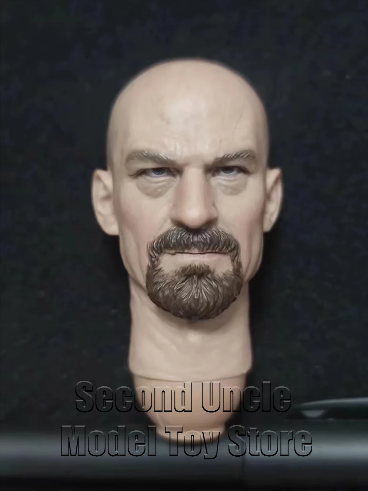 

DAMTOYS DAM 78020 1/6 head sculpt model Suitable for 12 inch models