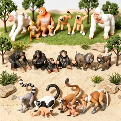 Simulation Wild Animals Model Mandrill Chimpanzee Gorilla Gibbon Monkey Action Figures Educational Collection Toys Figurine