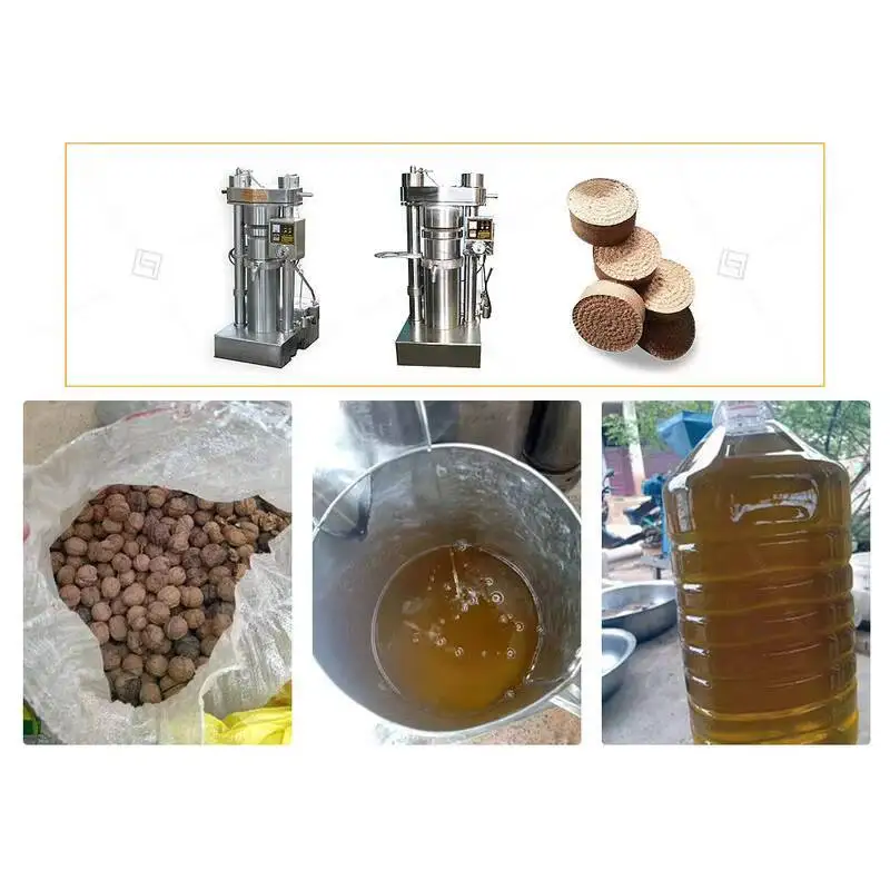 

Commercial Hydraulic Avocado Cocoa Bean Oil Extractor Cold Oil Press Machine