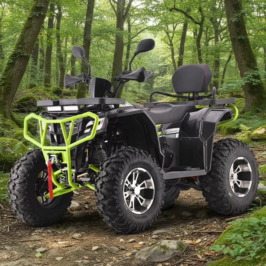 Off Road Beach Buggy 250cc 4x4 Utility Vehicle Front Rear Storage Racks For Farm Ranch Hunting Customized