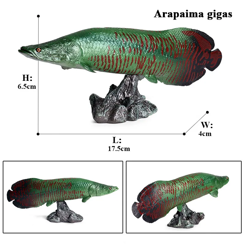 Oenux symulacja życie morskie zwierzęta ryby figurki postaci Ocean ryby Sailfish Piranha karp akwarium figurki zwierząt zabawki dla dzieci