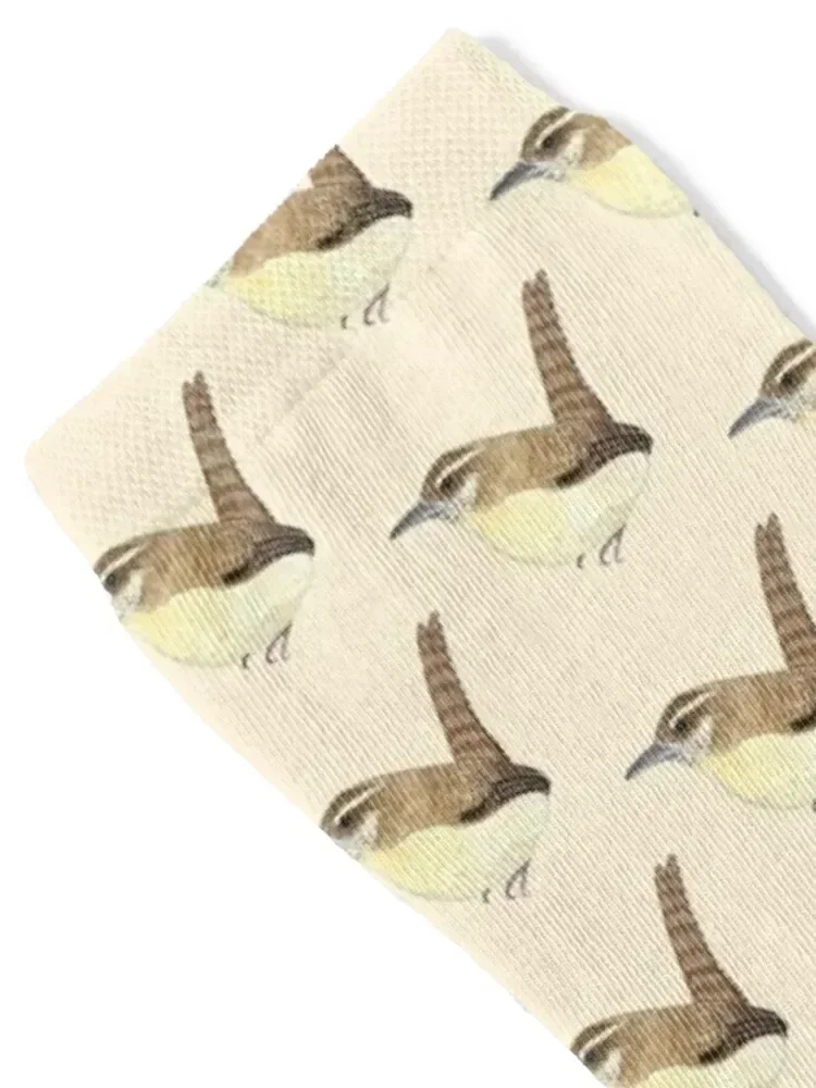 Carolina Wren State Bird Socks loose japanese fashion Boy Socks Women's