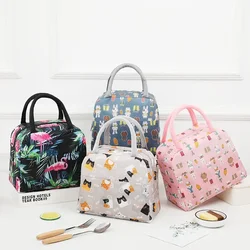 Colorful Insulated Large Capacity Lunch Bag with Aluminum Foil Thickened Food Fruit Tote Bag Insulated Lunch and Storage Bags