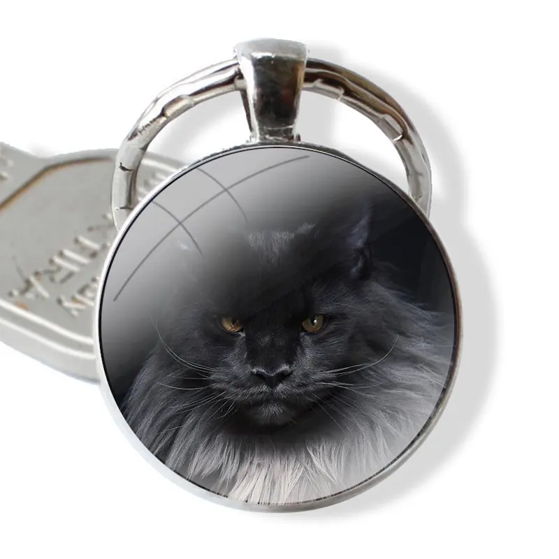 Glass Metal Pendant Key Chain Classic Men Women Key Ring Accessories Jewelry Gifts pet maine coon cat